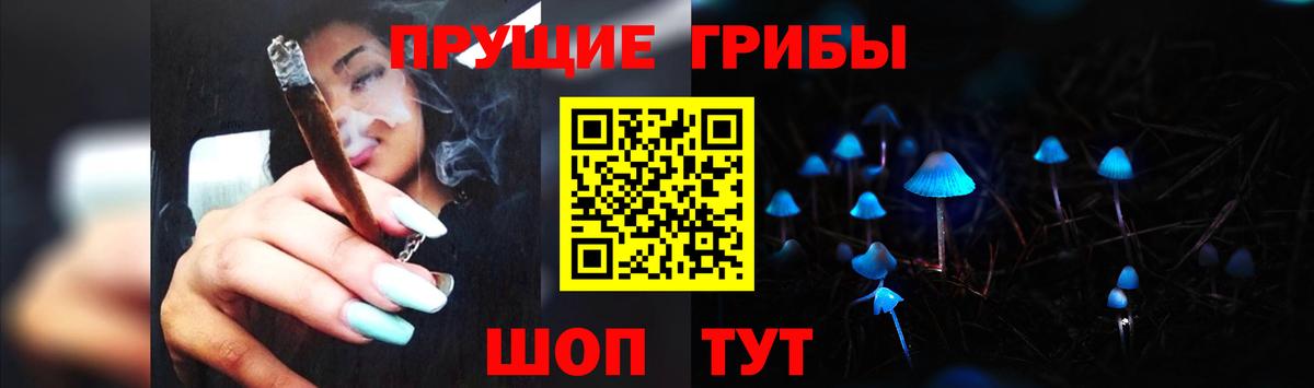 Псилоцибиновые грибы мицелий Балашов